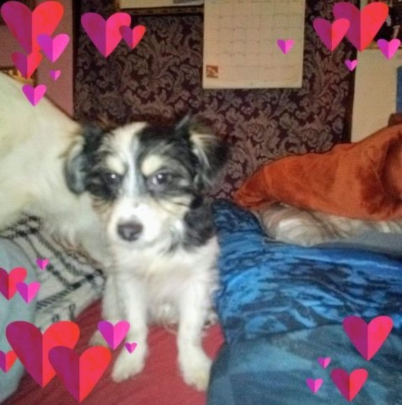 Meet your Posher, Mary - Picture 1 of 1